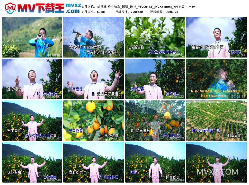 刘果林-橙心如意_国语_流行_YF200172